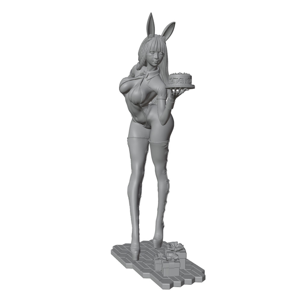 1/24/12/6 휴일 파티 테마 버니걸 캐릭터, 귀여 - 3D Printing App 리뷰 및 가격