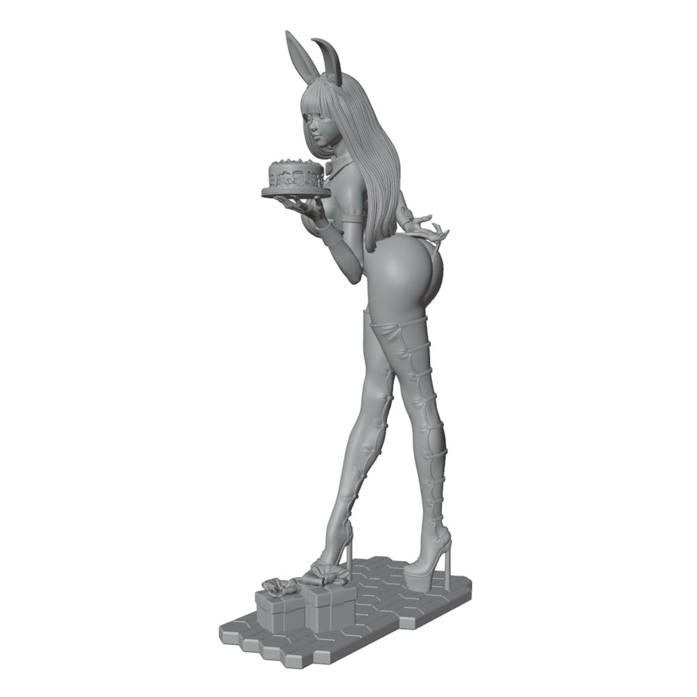 1/24/12/6 휴일 파티 테마 버니걸 캐릭터, 귀여 - 3D Printing App 리뷰 및 가격