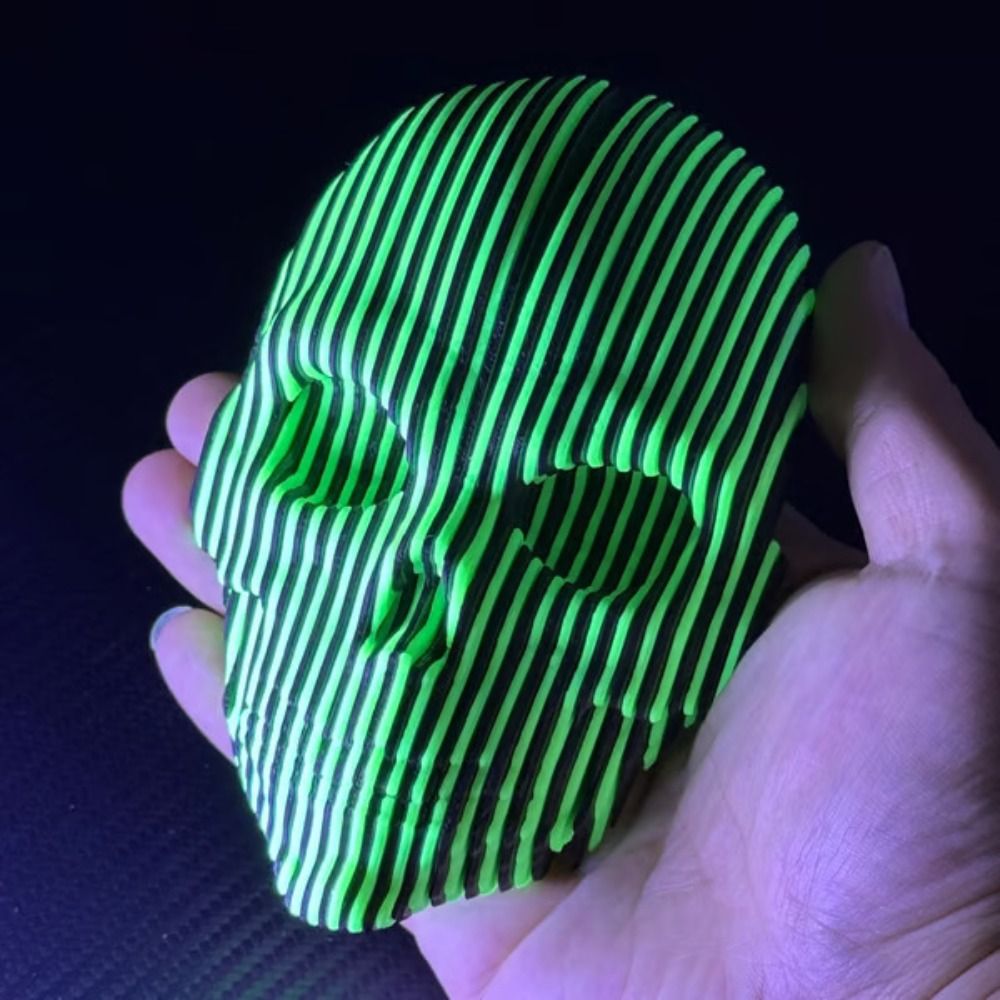 시각적 착시 3D 프린팅 해골 시뮬레이션 모델 발광 해 - 3D Printing Simulator 리뷰 및 가격